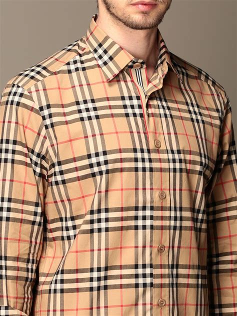 burberry multicolor t shirt|Burberry shirts cost.